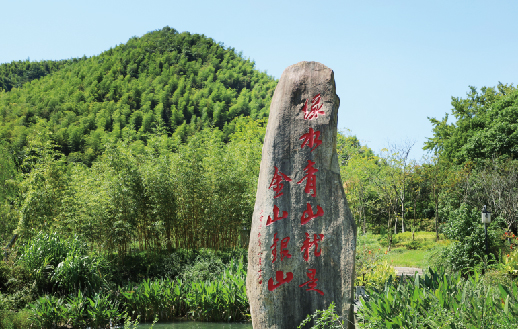 聚焦“雙碳” | 太陽成集團tyc環(huán)境-新至雙碳林業(yè)碳匯項目落...